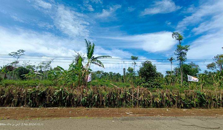 Tanah kebun datar strategis samping jalan besar 2