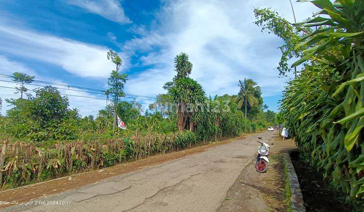 Tanah kebun datar strategis samping jalan besar 1