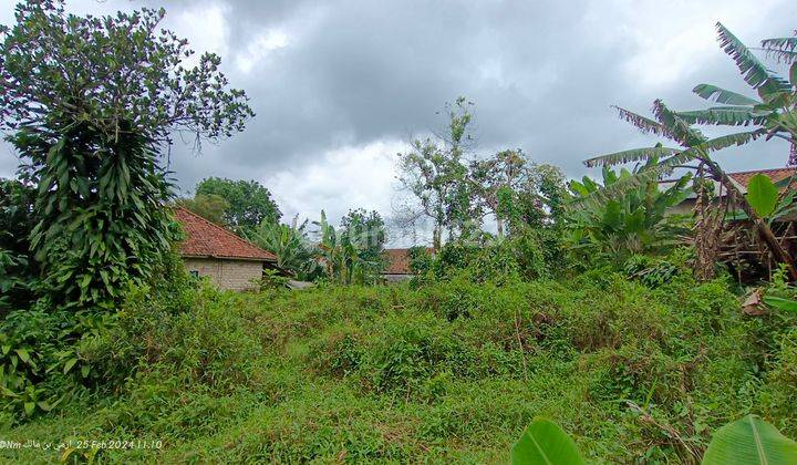 Tanah kebun subur samping jalan besar 2 mobil 2