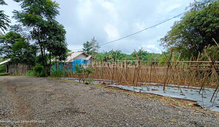 Tanah subur samping jalan besar siap tanam benih sayuran  2