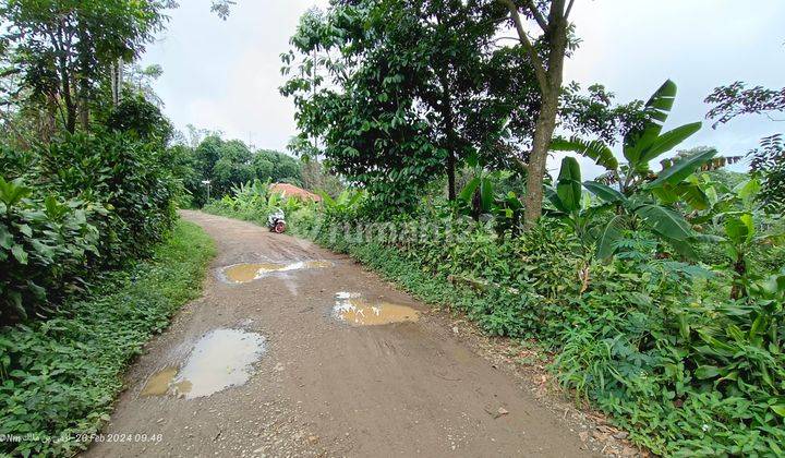 Tanah kebun subur samping jalan 2 mobil  1