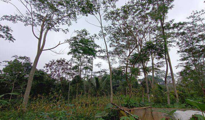 Tanah produktif udara sejuk samping jalan mobil 2