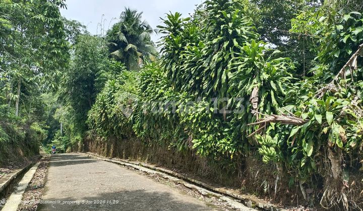 Dijual Kebun Produktif 5.000 M² Pinggir Jalan Besar & Dekat Pemukiman - Lokasi Strategis Kiarapedes, Dijual Kebun Produktif 5.000 M² Pinggir Jalan Besar & Dekat Pemukiman - Lokasi Strategis Kiarapedes,