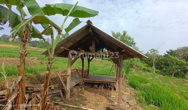 Tanah Sawah Produktif Air Melimpah Jernih View Pegunungan 2