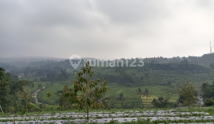Dijual Lahan Kebun Luas 14.430 M² View Sawah & Bukit - Cocok Pertanian & Peternakan, Darangdan Dijual Lahan Kebun Luas 14.430 M² View Sawah & Bukit - Cocok Pertanian & Peternakan, Darangdan