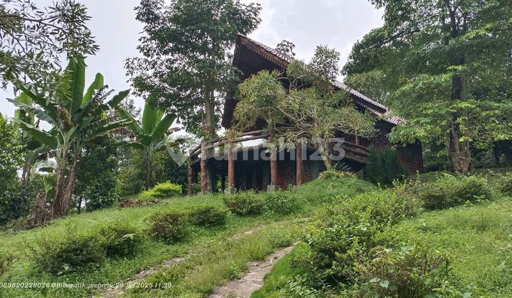 Kebun Premium Bonus Villa Subur dan Sejuk Kebun Premium Bonus Villa Subur dan Sejuk