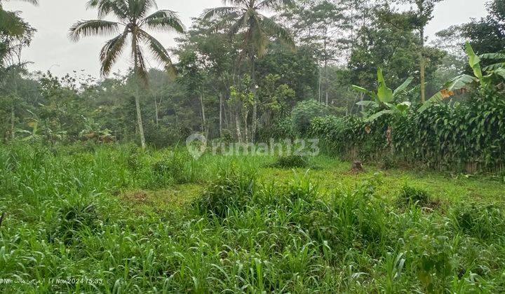 Tanah subur dan datar bonus kandang ayam 2