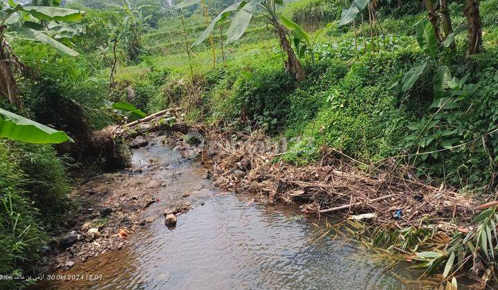 TANAH SAWAH VIEW GUNUNG UDARA SEJUK AIR MELIMPAH JERNIH 2