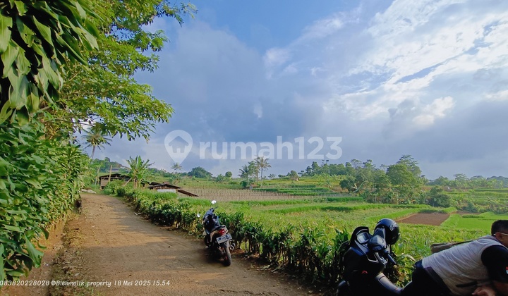 Di Jual Tanah Subur 10 Menit Dari Gerbang Toll Darangdan