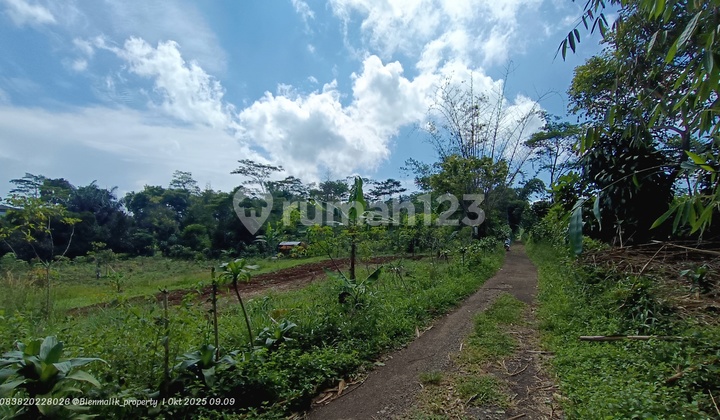 Tanah Datar Subur Akses Masuk Mobil Area Perkebunan