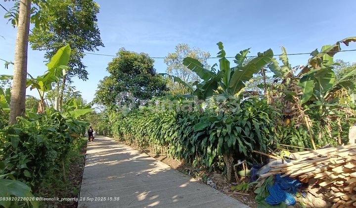 Kebun Datar Samping Jalan Udara Sejuk Akses Gampang