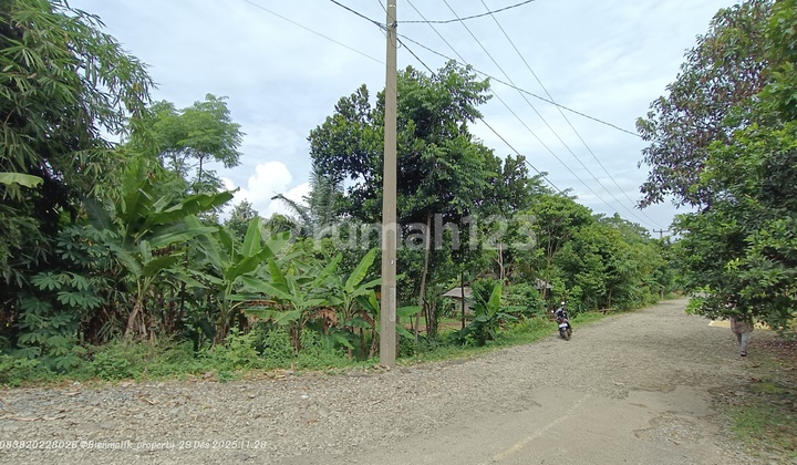 For Sale Fertile & Productive Garden in Strategic Location Beside Main Road for 2 Cars