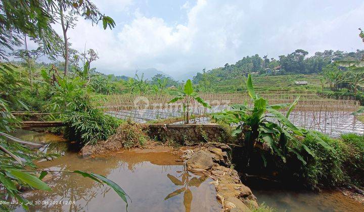 TANAH SAWAH VIEW GUNUNG UDARA SEJUK AIR MELIMPAH JERNIH 1