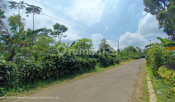 Dijual Lahan Kebun Datar & Produktif Samping Jalan Besar - Lokasi Strategis Dekat Tol Darangdan Dijual Lahan Kebun Datar & Produktif Samping Jalan Besar - Lokasi Strategis Dekat Tol Darangdan