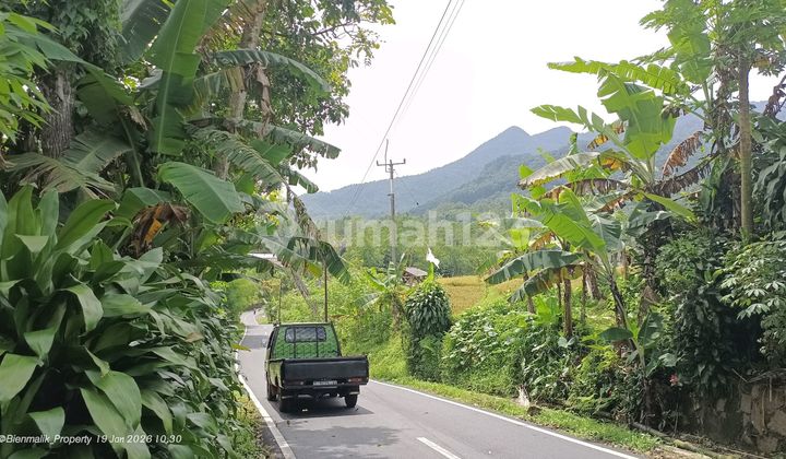 Kebun Strategis Samping Jalan Utama View Pegunungan Kebun Strategis Samping Jalan Utama View Pegunungan