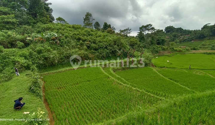Tanah Darat dan Tanah Sawah View Indah Udara Sejuk Tanah Darat dan Tanah Sawah View Indah Udara Sejuk