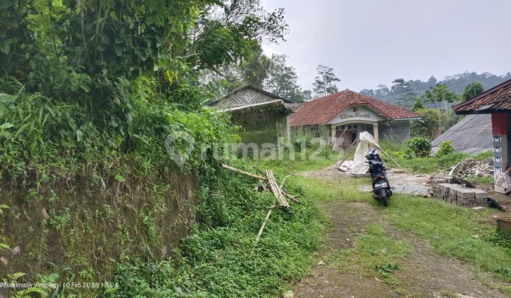 Kebun Produktif 5.000 M2 Bonus Rumah Besar dan Gudang