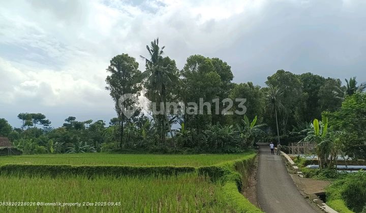 Kebun dan Sawah Samping Jalan di Area Pegunungan