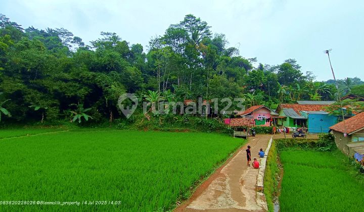 Kebun dan Sawah Aktif dan Produktif 7 Menit Dari Gerbang Toll