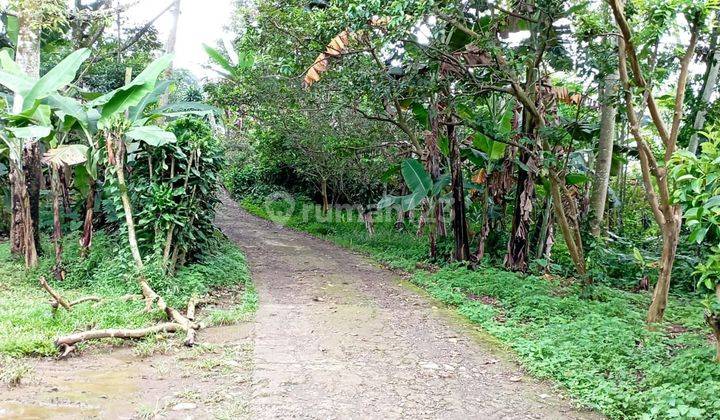 Perkebunan Taman Buah Durian, Sawah, Villa 2