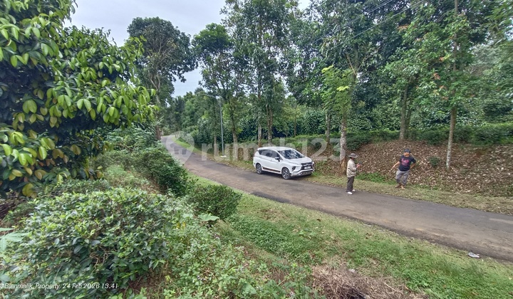 Kebun Produktif Strategis Samping Jalan Besar Kebun Produktif Strategis Samping Jalan Besar