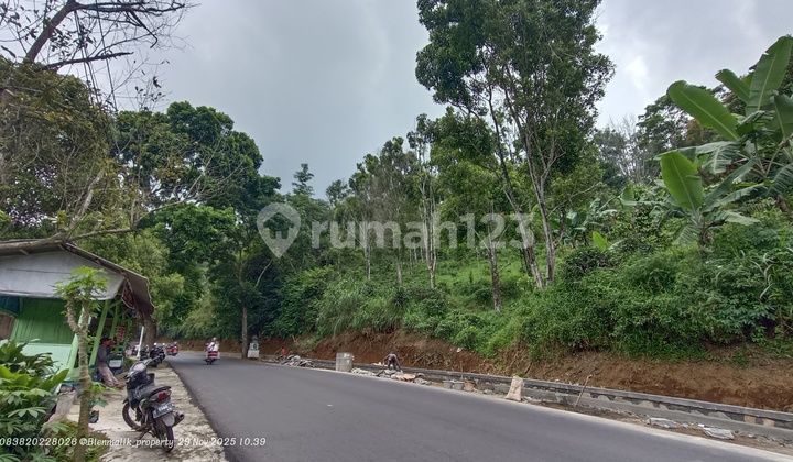 Kebun Produktif Lokasi Strategis Samping Jalan Utama