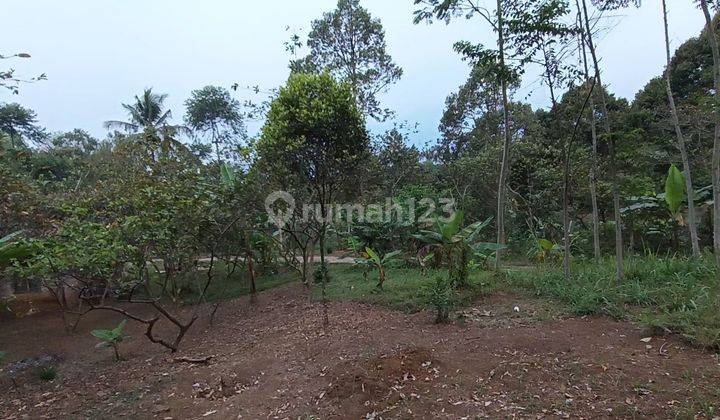 Perkebunan Taman Buah Durian, Sawah, Villa 1