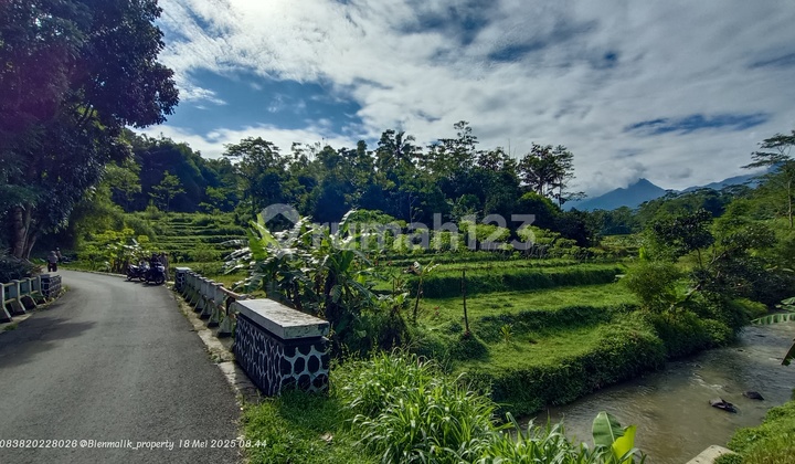 Tanah Sawah Samping Jalan Udara Sejuk Air Melimpah Tanah Sawah Samping Jalan Udara Sejuk Air Melimpah