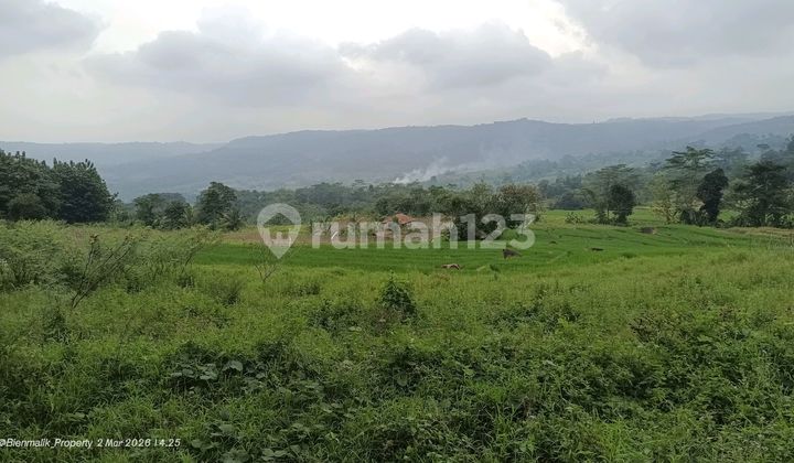 Land Price Cheap 75 Thousand Per Meter Mountain View Car Access.