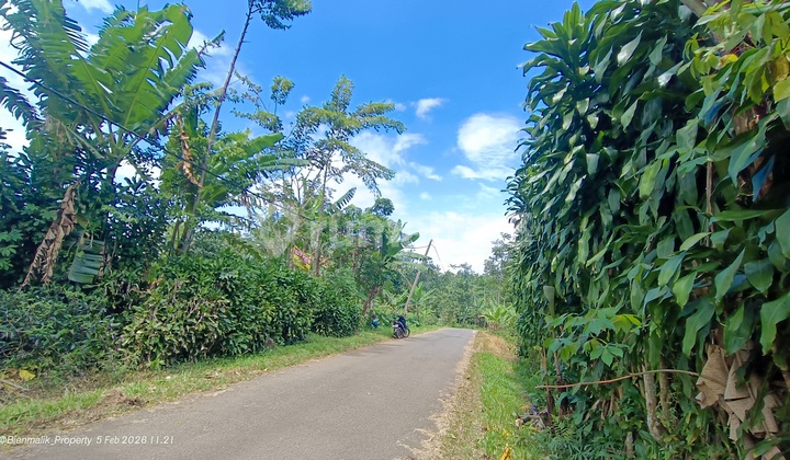 Kebun Produktif Strategis Pinggir Jalan Besar Akses 2 Mobil