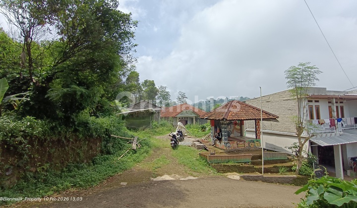 Kebun Produktif 5.000 M2 Bonus Rumah Besar dan Gudang Kebun Produktif 5.000 M2 Bonus Rumah Besar dan Gudang