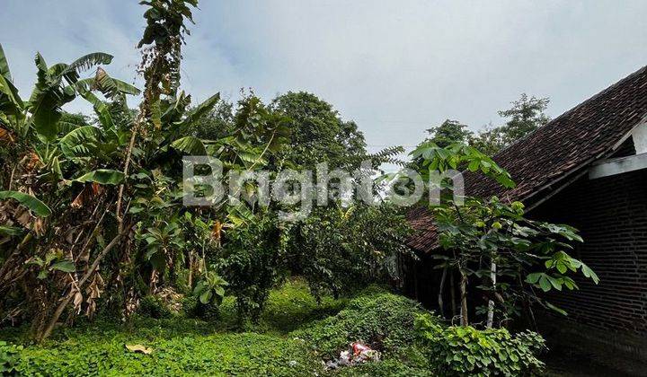 TANAH KOSONG BUTUH CEPAT LAKU DI DAERAH SUMBERBENDO NGORO MOJOKERTO DEKAT NGORO INDUSTRI 1