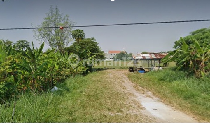 Dijial Tanah Dangat Strategis Di Samping Termila Pondok.cabe Harga Murah Dijial Tanah Dangat Strategis Di Samping Termila Pondok.cabe Harga Murah