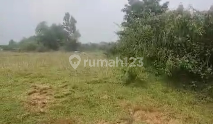 Land for Rent in Tigaraksa, Large Area, Affordable Price