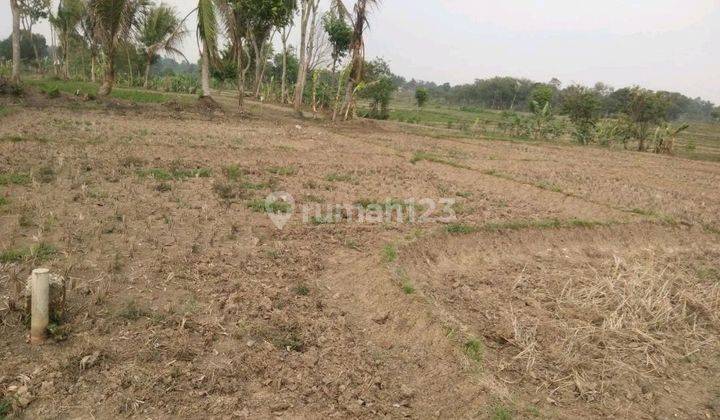 Dijual.cepat Butuh Uang Murah Yanah Di Bantarpanjang Tigaraksa Ujtuk.invest 1