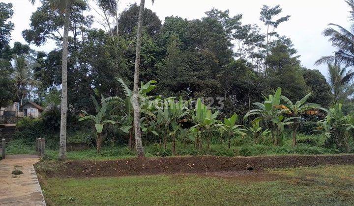 Dijual Tanah Sawah 408 M2 Dekat Sungai Di Sukabumi 1