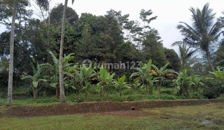 Dijual Tanah Sawah 408 M2 Dekat Sungai Di Sukabumi 2