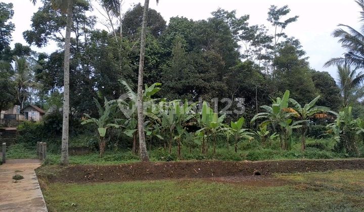 Dijual Tanah Sawah 408 M2 Tepi Sungai, Babakan Damai, Sukabumi