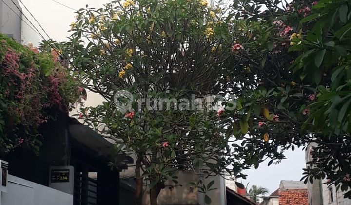 Disewakan Rumah Terawat Fully Furnished Di Area Bintaro Bagus 2