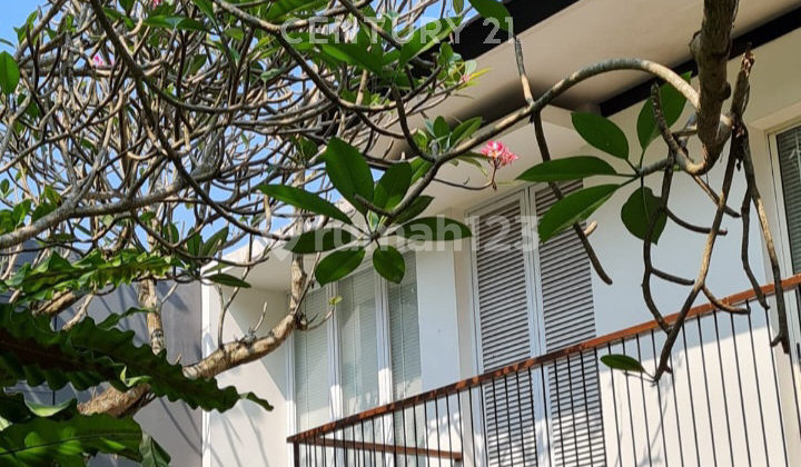 17091 Rumah Mewah @ Cluster Teduh Hijau Swimpool Sekitar Bintaro 2