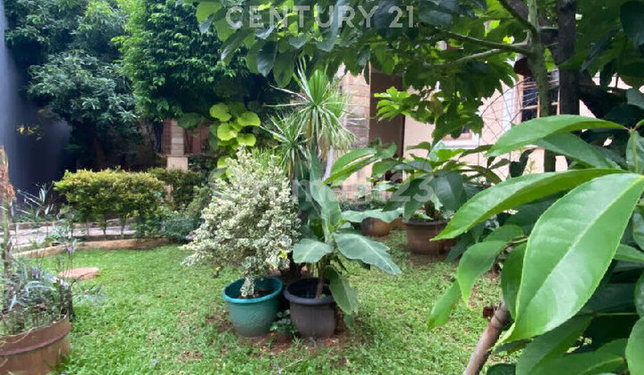 Hunian Luas dengan Taman yang Terawat Diciputat