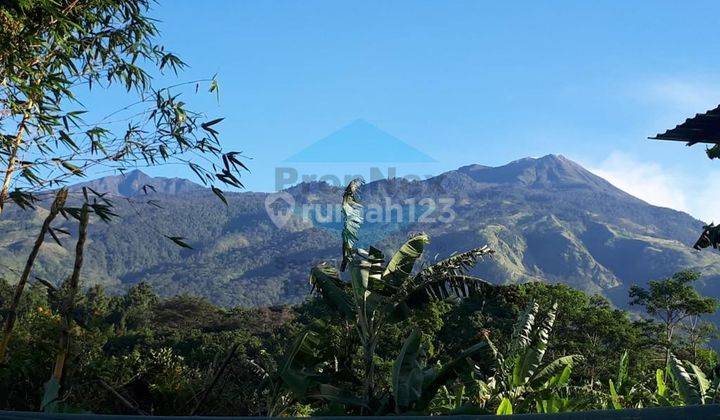 Trawas SHM View Gunung untuk Villa 2