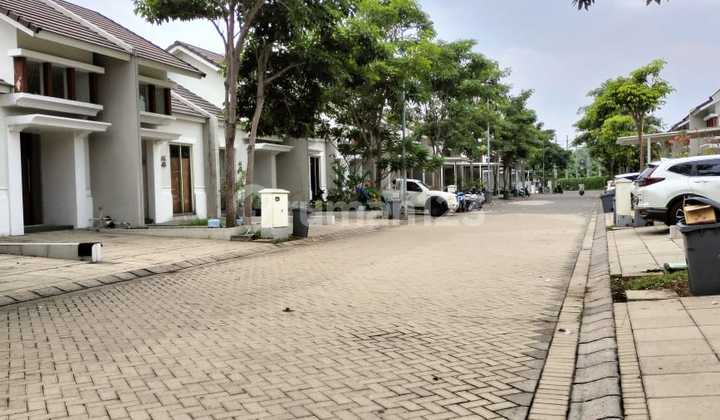 Grand Harvest Cheap near Royal Residence Grand Harvest Cheap near Royal Residence