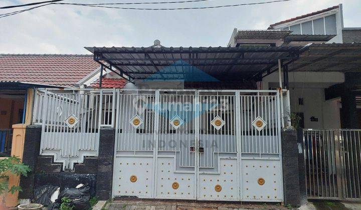 Bukit Palma Blok C Furnish Murah 1