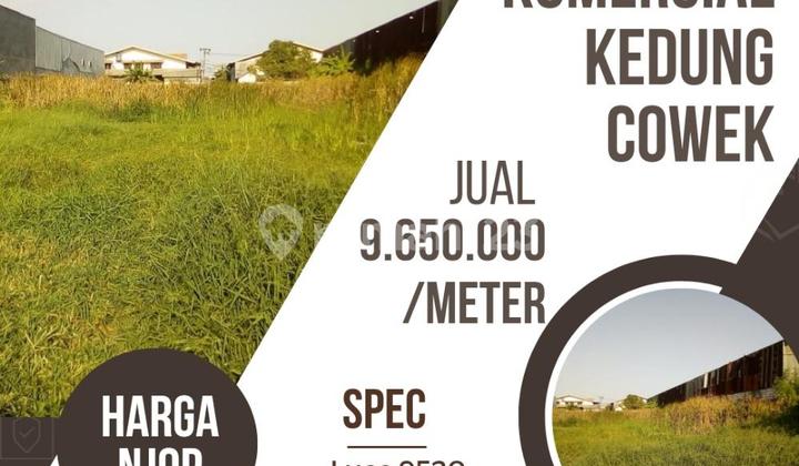 Murah Harga NJOP Kedung Cowek Sby Timur Dkt Kenjeran