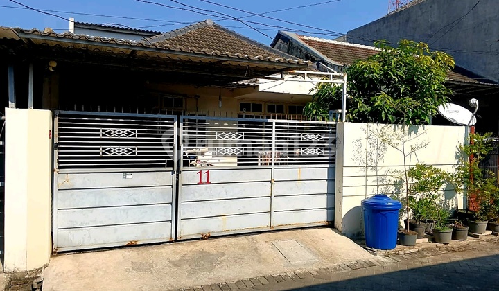 Jual Cepat Rumah Simpang Darmo Permai Skt Papaya Pakuwon Mall