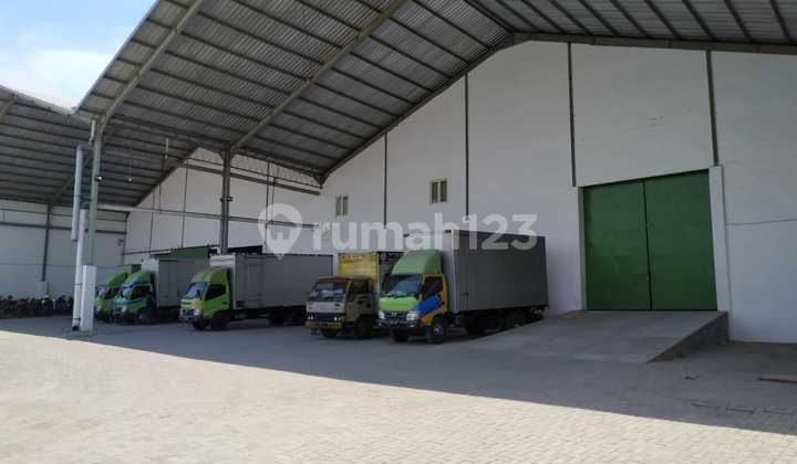 Romokalisari Romokalisari