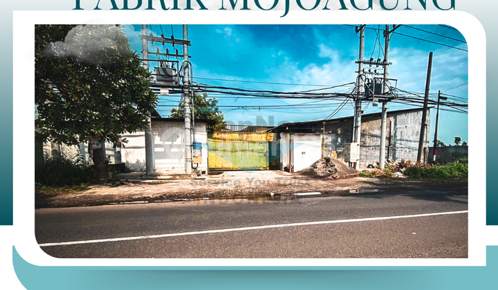 QUICK SALE MOJOAGUNG FACTORY
