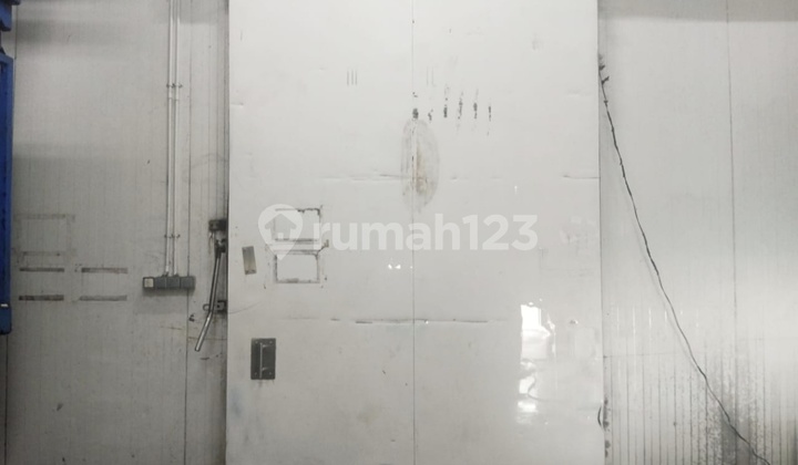 Gudang 2 Jejer Di Safe & Lock Ada Cold Storage Gudang 2 Jejer Di Safe & Lock Ada Cold Storage
