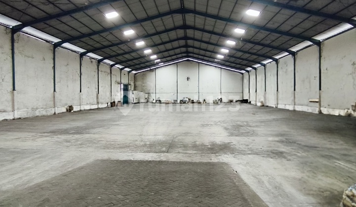 Warehouse and Ready-to-Use Paddy Field Land Warehouse and Ready-to-Use Paddy Field Land